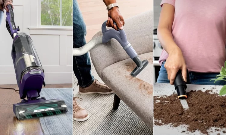 8 Best Shark Vacuum Cleaners That Suck (in a Good Way!)